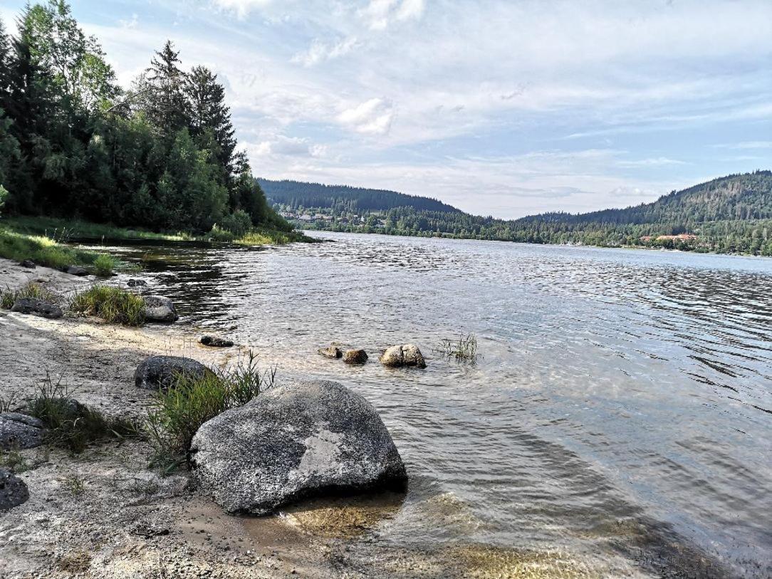 B1 Albmatte-Fewo Sauna, Hallenbad Aussenbecken Massagen Nebenan Menzenschwand-Hinterdorf Esterno foto