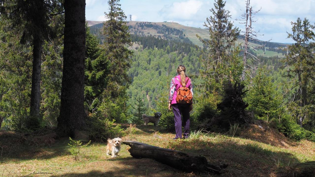 B1 Albmatte-Fewo Sauna, Hallenbad Aussenbecken Massagen Nebenan Menzenschwand-Hinterdorf Esterno foto