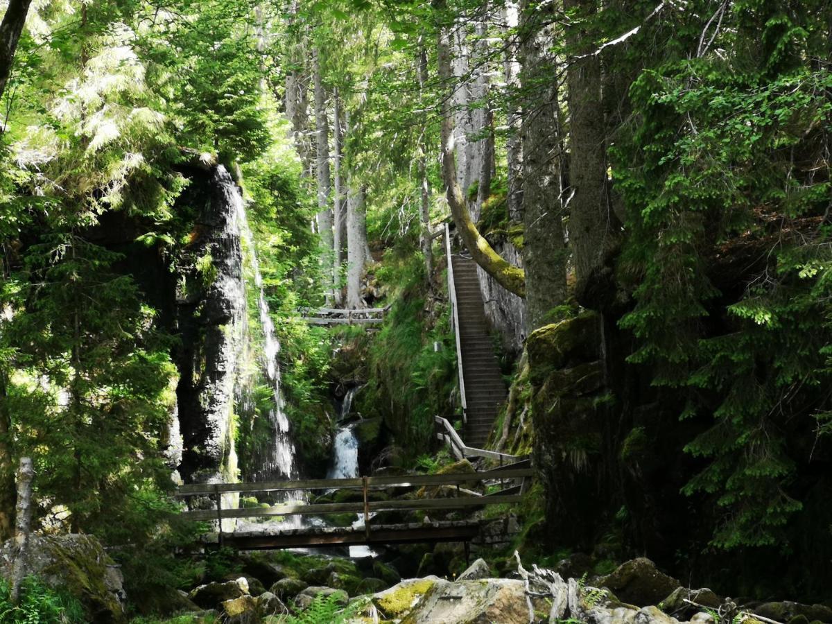 B1 Albmatte-Fewo Sauna, Hallenbad Aussenbecken Massagen Nebenan Menzenschwand-Hinterdorf Esterno foto