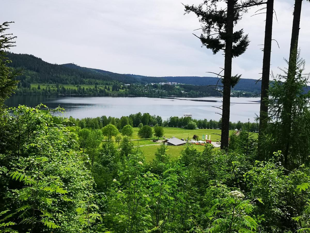 B1 Albmatte-Fewo Sauna, Hallenbad Aussenbecken Massagen Nebenan Menzenschwand-Hinterdorf Esterno foto