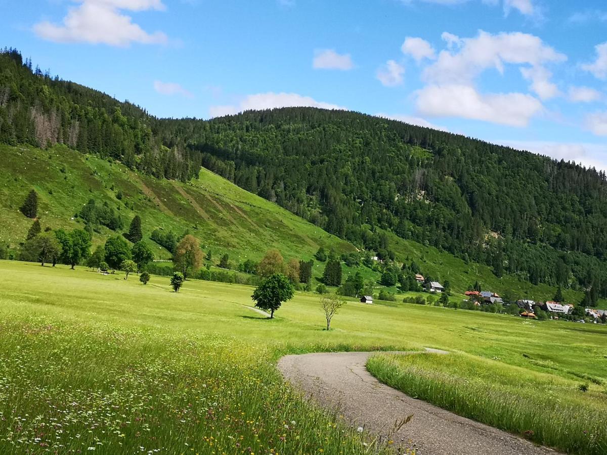 B1 Albmatte-Fewo Sauna, Hallenbad Aussenbecken Massagen Nebenan Menzenschwand-Hinterdorf Esterno foto