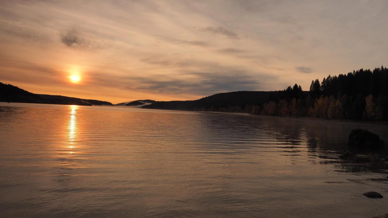 B1 Albmatte-Fewo Sauna, Hallenbad Aussenbecken Massagen Nebenan Menzenschwand-Hinterdorf Esterno foto