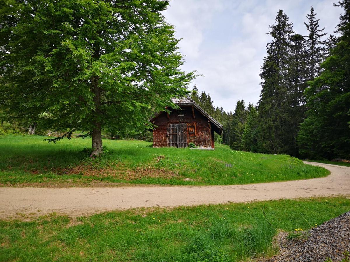 B1 Albmatte-Fewo Sauna, Hallenbad Aussenbecken Massagen Nebenan Menzenschwand-Hinterdorf Esterno foto