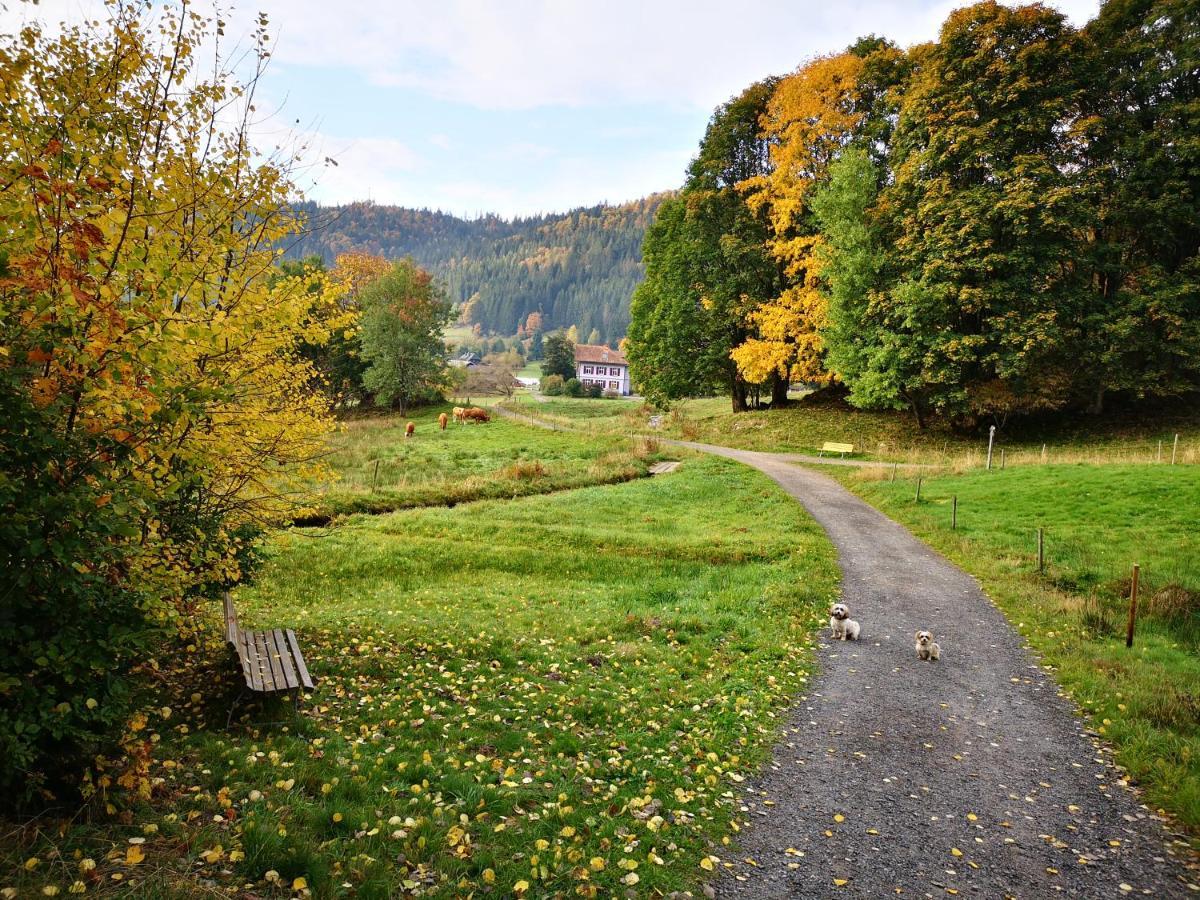 B1 Albmatte-Fewo Sauna, Hallenbad Aussenbecken Massagen Nebenan Menzenschwand-Hinterdorf Esterno foto