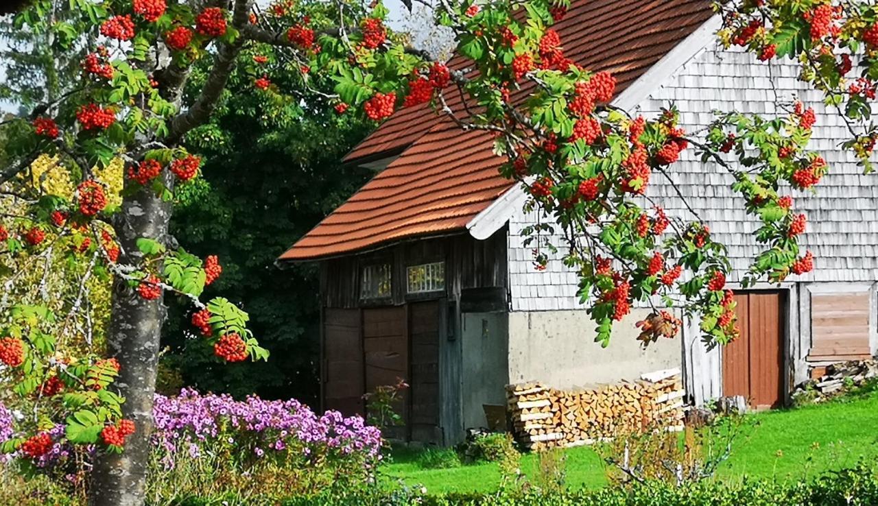B1 Albmatte-Fewo Sauna, Hallenbad Aussenbecken Massagen Nebenan Menzenschwand-Hinterdorf Esterno foto