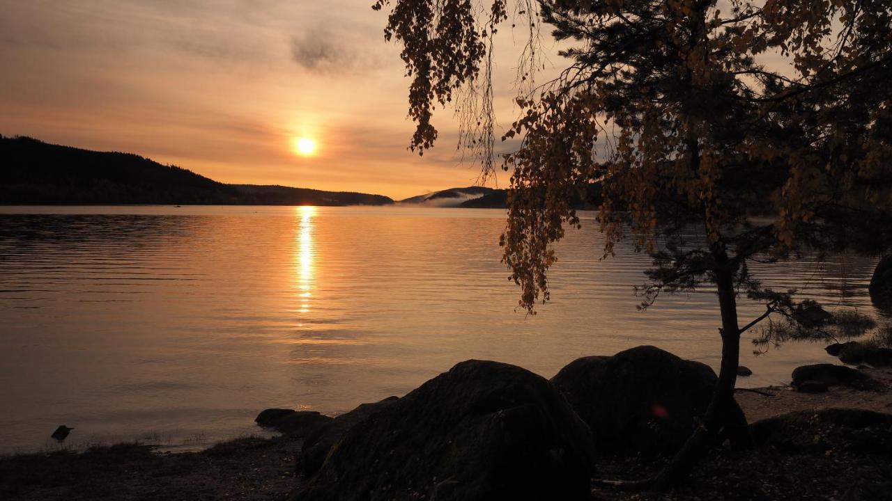 B1 Albmatte-Fewo Sauna, Hallenbad Aussenbecken Massagen Nebenan Menzenschwand-Hinterdorf Esterno foto