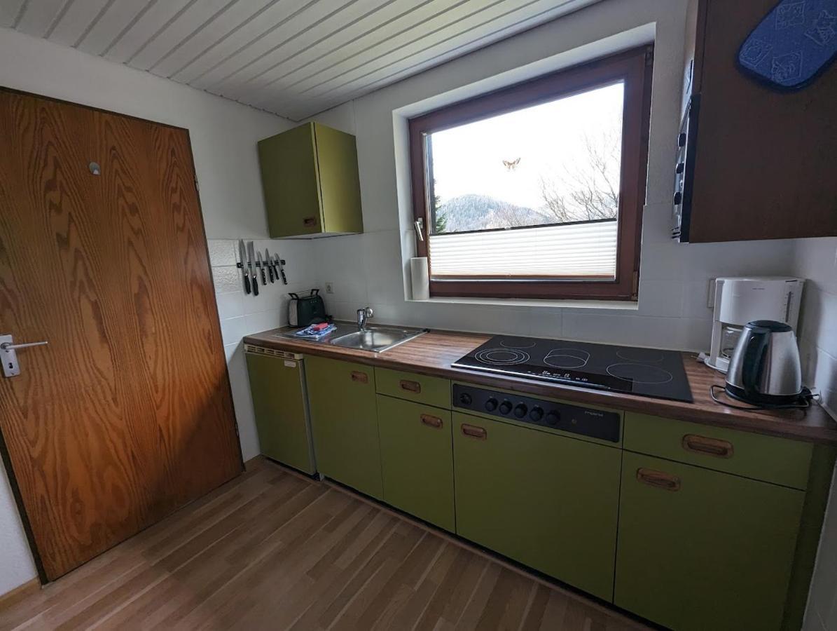 B1 Albmatte-Fewo Sauna, Hallenbad Aussenbecken Massagen Nebenan Menzenschwand-Hinterdorf Esterno foto