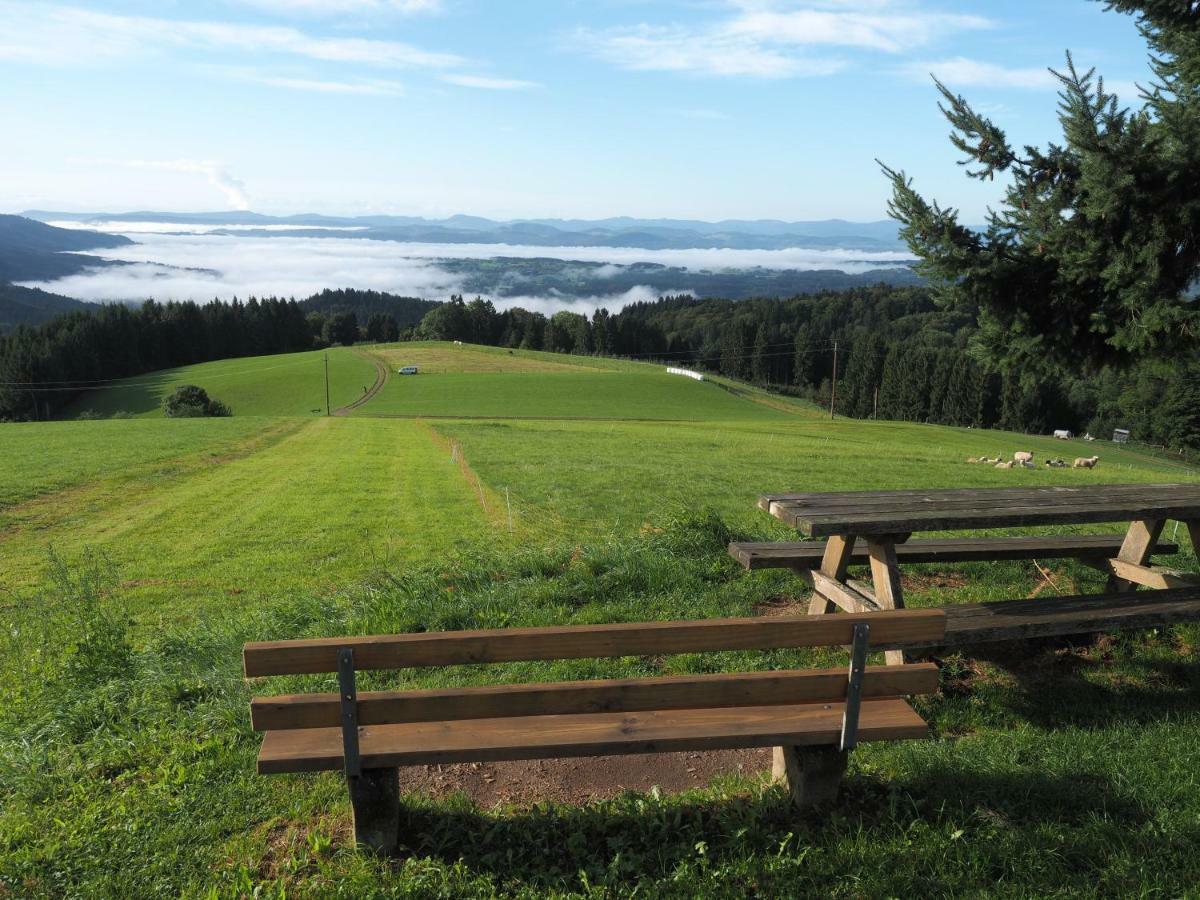 B1 Albmatte-Fewo Sauna, Hallenbad Aussenbecken Massagen Nebenan Menzenschwand-Hinterdorf Esterno foto