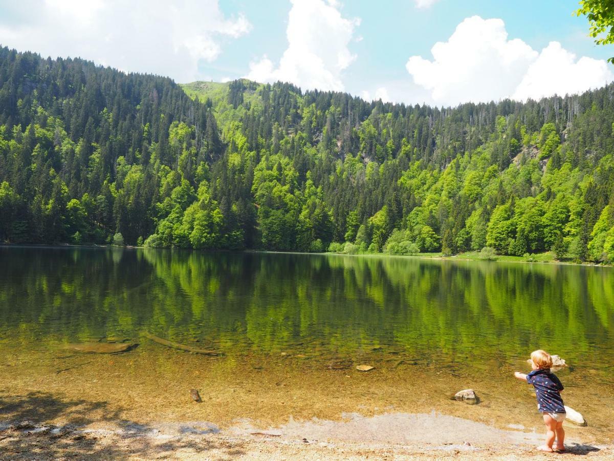 B1 Albmatte-Fewo Sauna, Hallenbad Aussenbecken Massagen Nebenan Menzenschwand-Hinterdorf Esterno foto