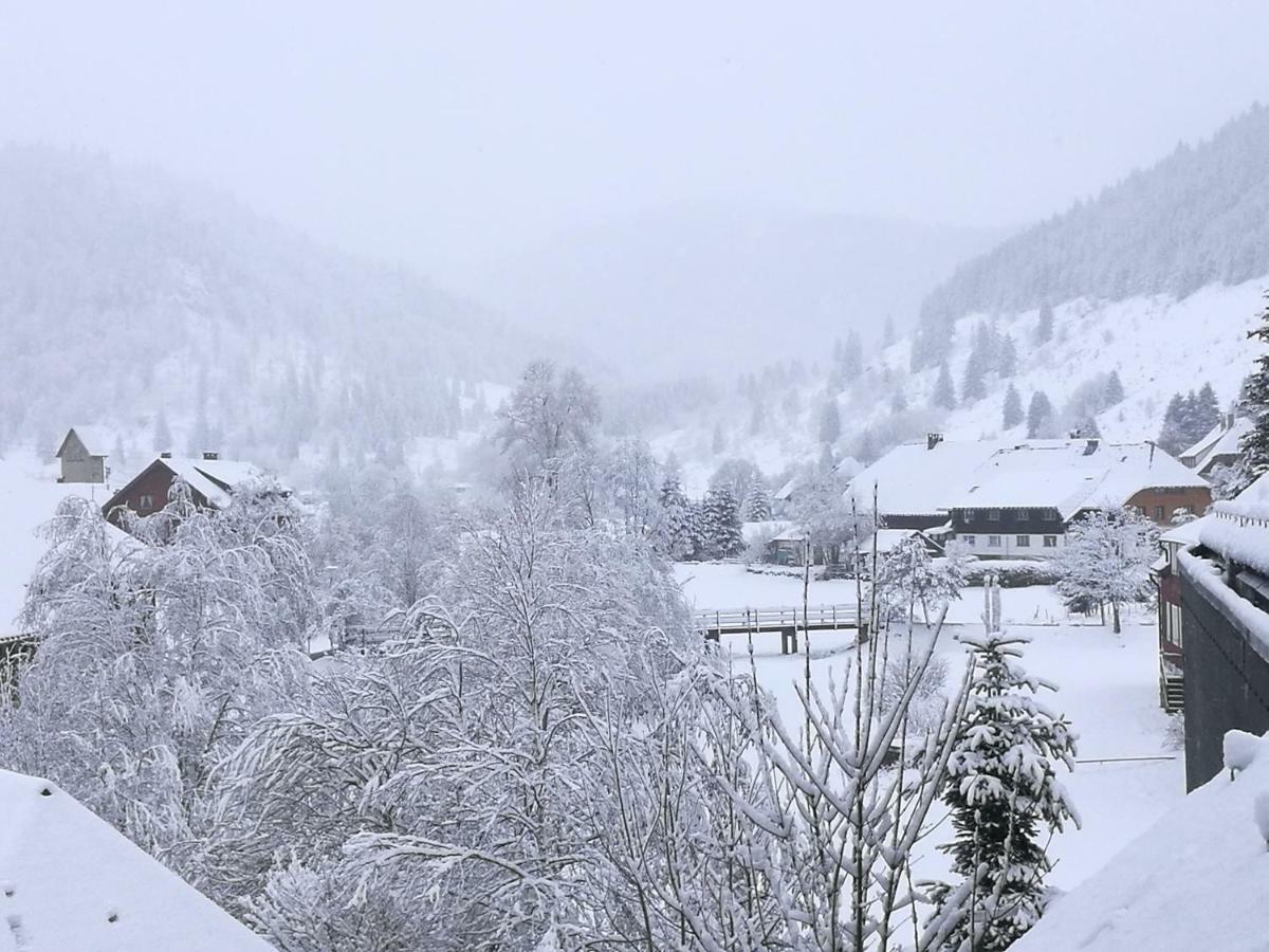 B1 Albmatte-Fewo Sauna, Hallenbad Aussenbecken Massagen Nebenan Menzenschwand-Hinterdorf Esterno foto